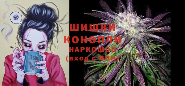 сатива Абаза