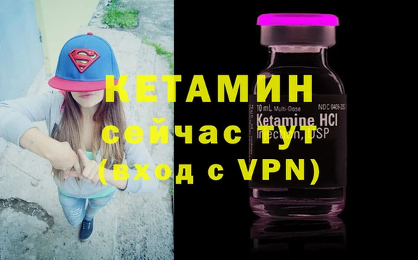 сатива Абаза
