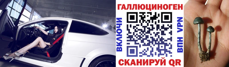 Галлюциногенные грибы Psilocybine cubensis Суоярви